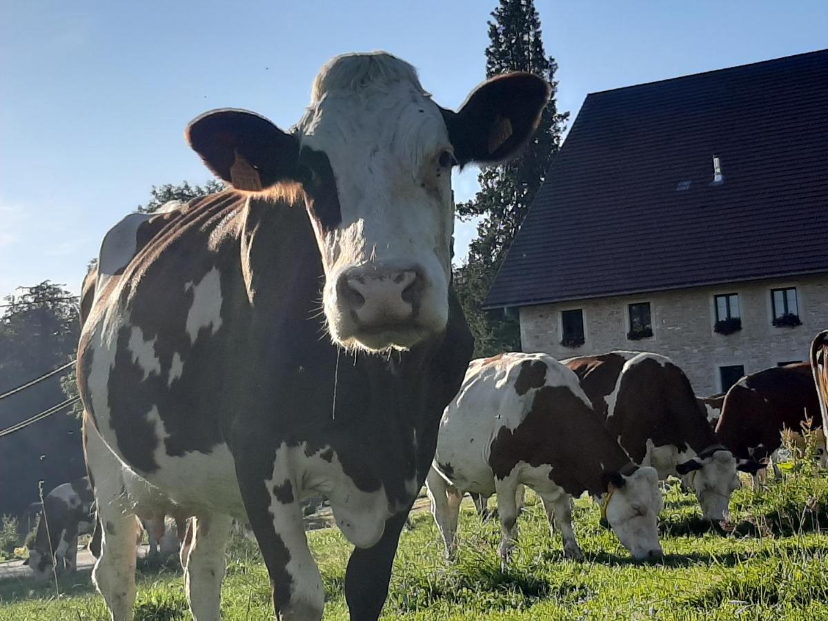 Gite Chez La So ! Avec Visite A La Ferme Arcon  Exteriér fotografie