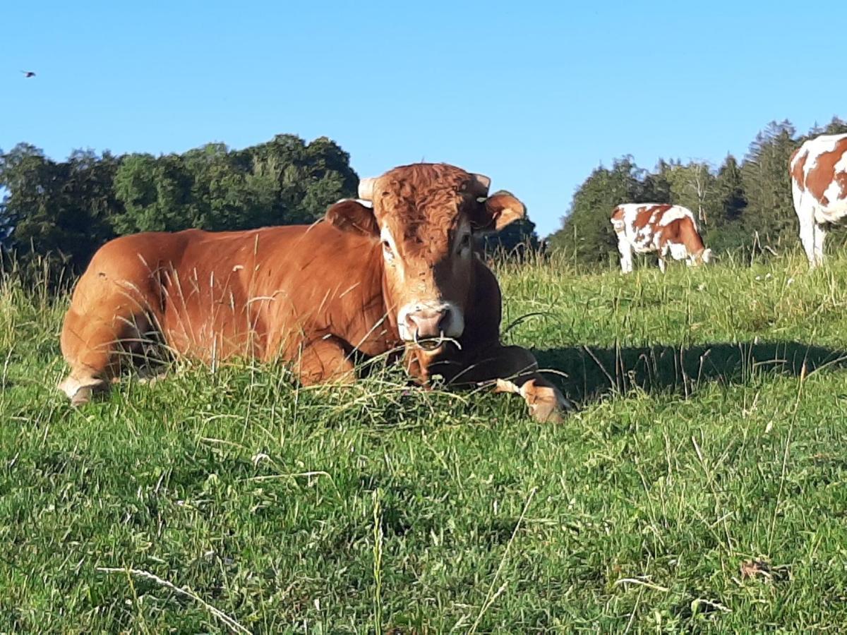 Gite Chez La So ! Avec Visite A La Ferme Arcon  Exteriér fotografie